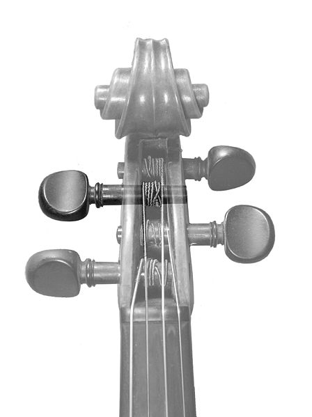 violin pegs